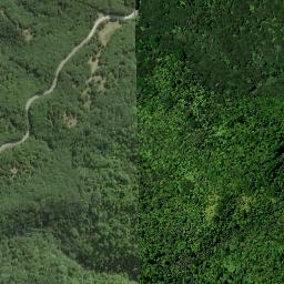Satellite imagery of Woody Head, NZ