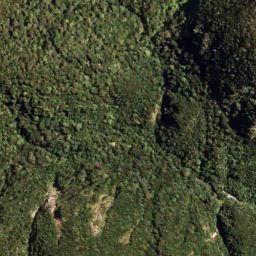 Satellite imagery of 1328 WHANOKAO, NZ