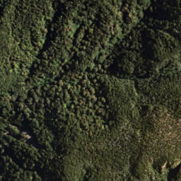 Satellite imagery of 1328 WHANOKAO, NZ