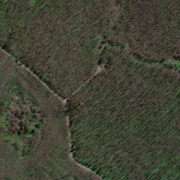 Satellite imagery of Cerro Pilquén, CL