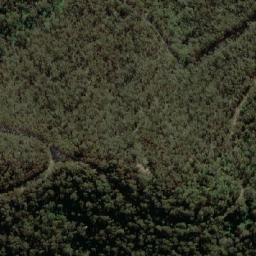 Satellite imagery of Cherry Tree Lookout, AU
