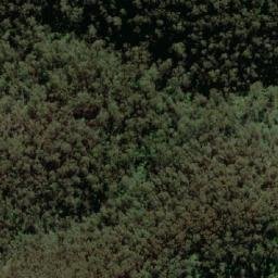 Satellite imagery of Cherry Tree Lookout, AU