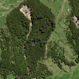 Satellite imagery of 7163, NZ
