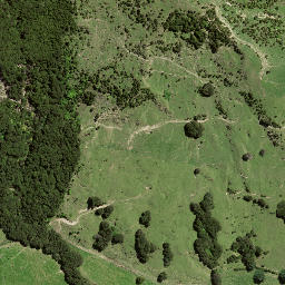Satellite imagery of 7163, NZ