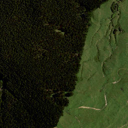 Satellite imagery of 7156, NZ