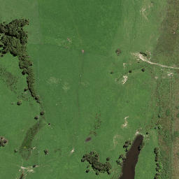 Satellite imagery of 7244, NZ