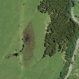 Satellite imagery of 7243, NZ