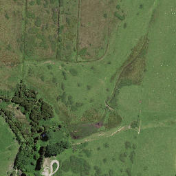 Satellite imagery of 7244, NZ