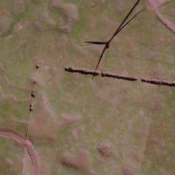 Satellite imagery of Mount Violet, AU