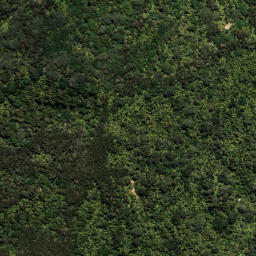 Satellite imagery of 7052, NZ
