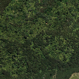 Satellite imagery of 7052, NZ