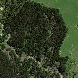 Satellite imagery of 7244, NZ
