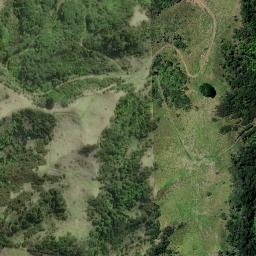 Satellite imagery of Papanui Point, NZ