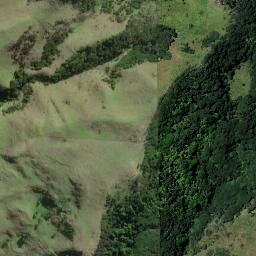 Satellite imagery of Papanui Point, NZ