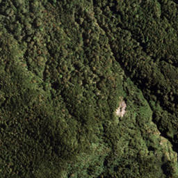 Satellite imagery of PUKETAUHINU, NZ