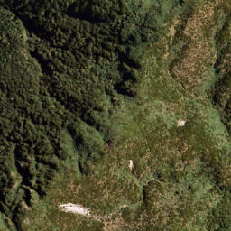 Satellite imagery of PUKETAUHINU, NZ