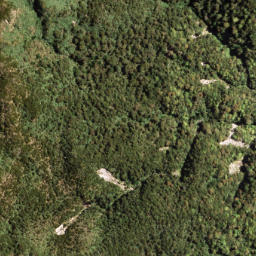 Satellite imagery of PUKETAUHINU, NZ