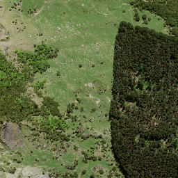 Satellite imagery of 42 TAITAI, NZ