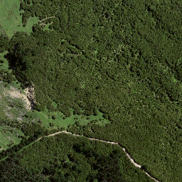 Satellite imagery of 7164, NZ