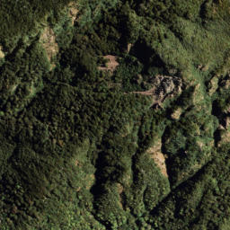 Satellite imagery of PUKETAUHINU, NZ