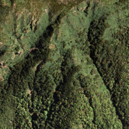 Satellite imagery of PUKETAUHINU, NZ