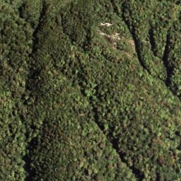 Satellite imagery of PUKETAUHINU, NZ