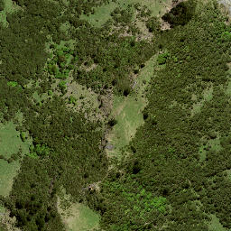 Satellite imagery of 42 TAITAI, NZ