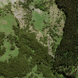 Satellite imagery of 42 TAITAI, NZ