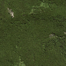 Satellite imagery of 7164, NZ