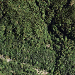 Satellite imagery of PUKETAUHINU, NZ