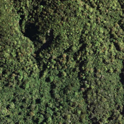 Satellite imagery of PUKETAUHINU, NZ