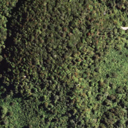 Satellite imagery of PUKETAUHINU, NZ