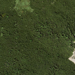 Satellite imagery of 7164, NZ