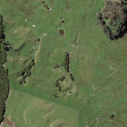 Satellite imagery of 7272, NZ
