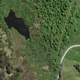 Satellite imagery of 7272, NZ