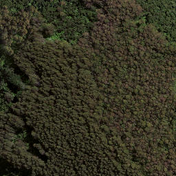 Satellite imagery of 7271, NZ