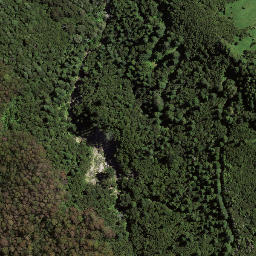 Satellite imagery of 7271, NZ