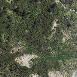 Satellite imagery of Koutuamoa Point, NZ