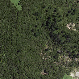Satellite imagery of Koutuamoa Point, NZ