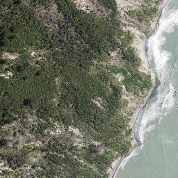 Satellite imagery of Koutuamoa Point, NZ
