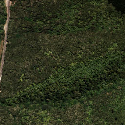 Satellite imagery of RAKAUKATIHI NO 2, NZ