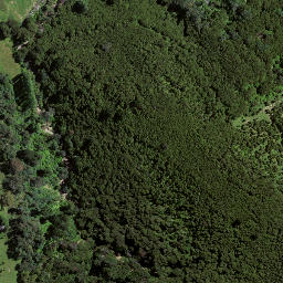 Satellite imagery of 7195, NZ