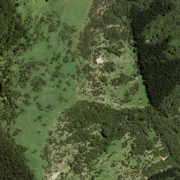 Satellite imagery of 7195, NZ