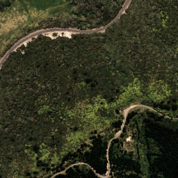 Satellite imagery of 7081, NZ