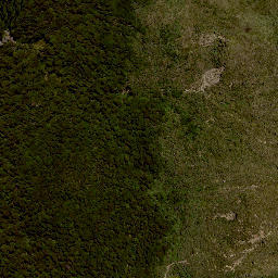 Satellite imagery of HIKURANGI, NZ