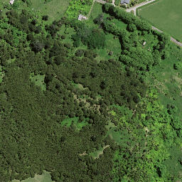 Satellite imagery of 7192, NZ