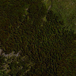 Satellite imagery of HIKURANGI, NZ