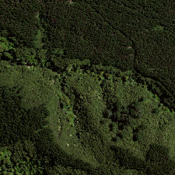 Satellite imagery of B WHAKAMU, NZ