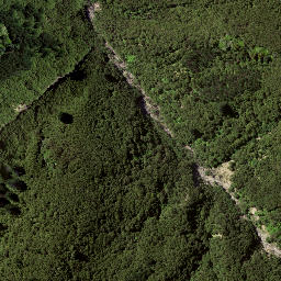 Satellite imagery of B WHAKAMU, NZ