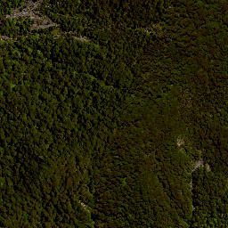 Satellite imagery of HIKURANGI, NZ